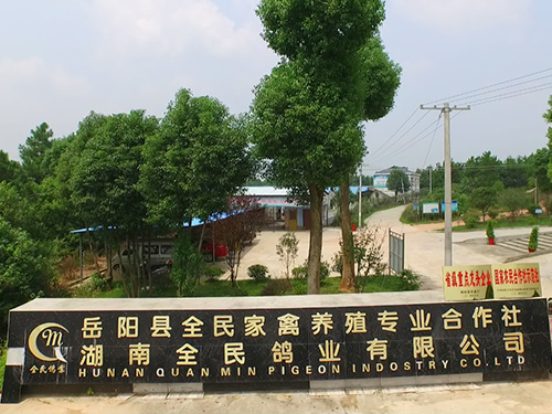 湖南全民鴿業(yè)-(1).JPG