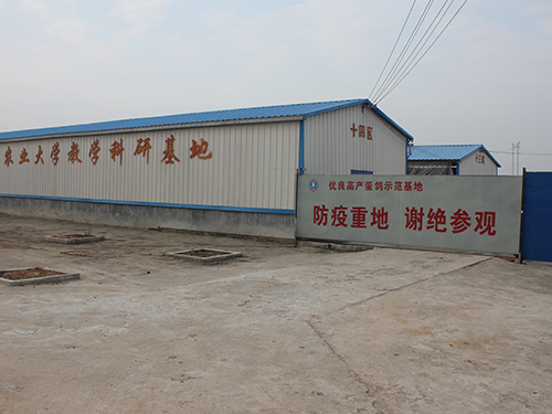 生產(chǎn)新區(qū).JPG