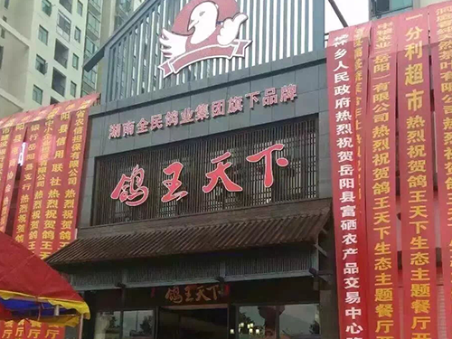 鴿王天下生態(tài)特色主題連鎖餐廳1.png