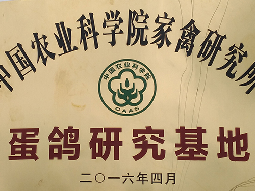 中國(guó)農(nóng)科院－蛋鴿研究基地